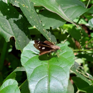 foto7