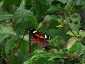 4 IMG_1028 (1)