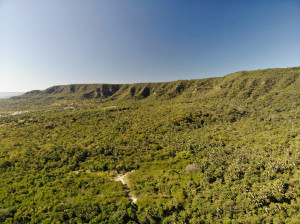 Chapada do Araripe