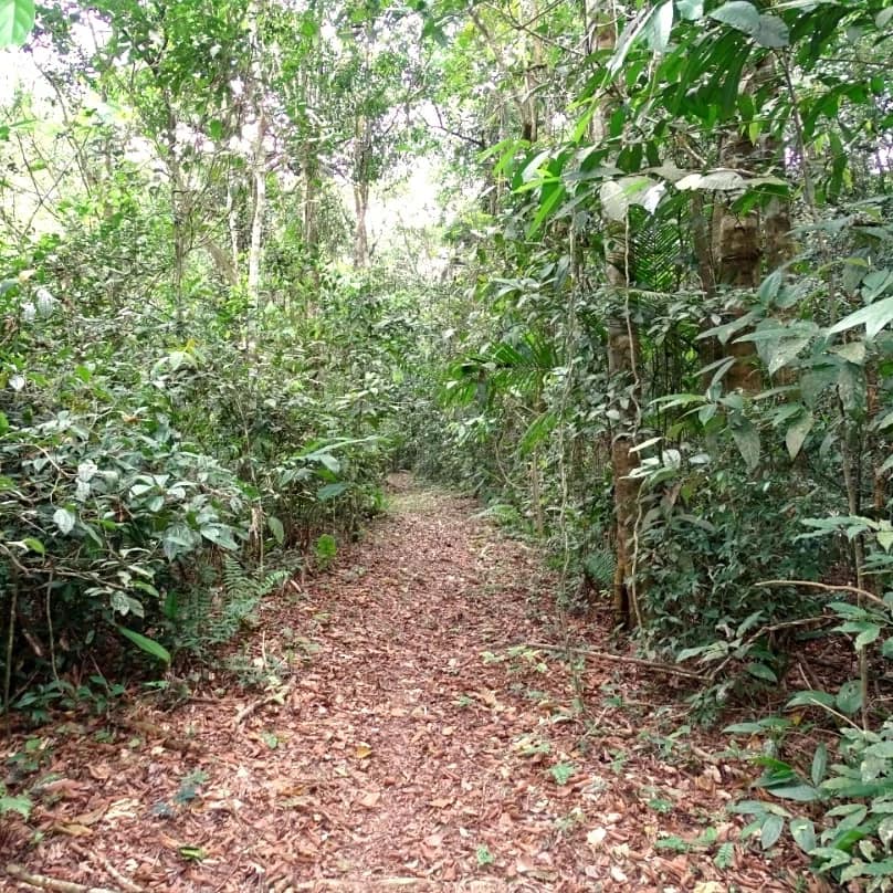 foto2