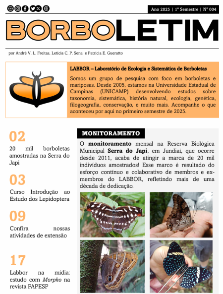Borboletim